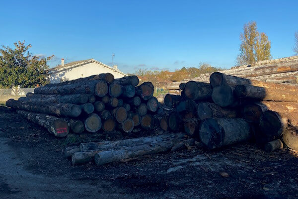 Lot de grumes en séparation physique